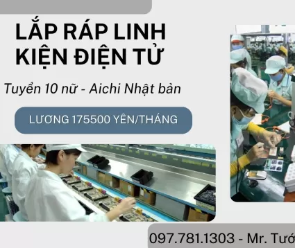 TUYỂN 10 NỮ LÁP RÁP LINH KIỆN ĐIỆN TỬ